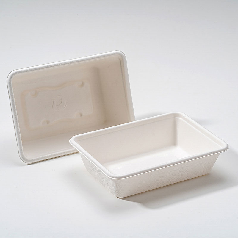 Bagasse kvadrat qutusu